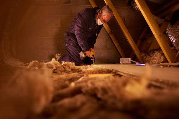 Professional Insulation in Stanley, WI